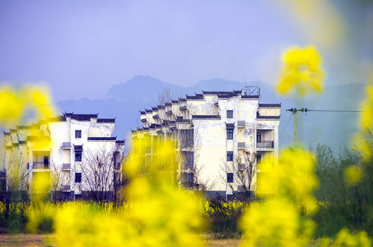 房子遠(yuǎn)山和花