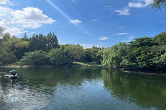 湖面