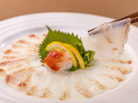 鯛魚(yú)刺身