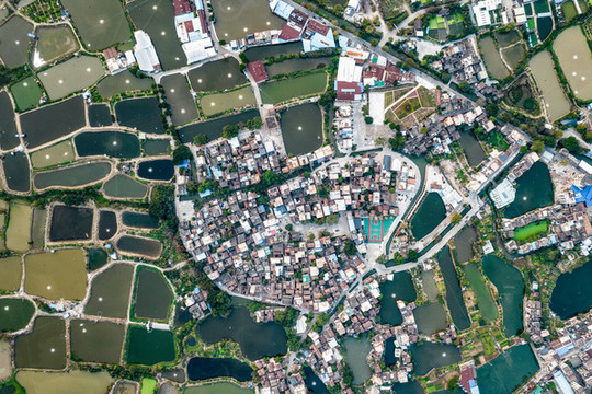 養(yǎng)殖基地