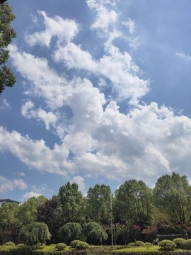 藍天白云樹木