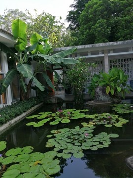 廈門萬石植物園