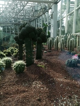廈門萬石植物園