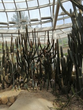 廈門(mén)萬(wàn)石植物園