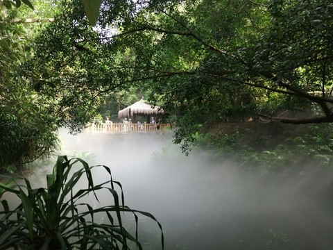 廈門萬石植物園