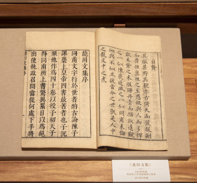 龍川文集