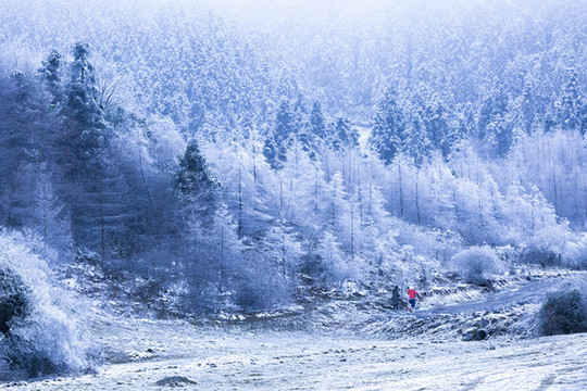 仙女山雪景