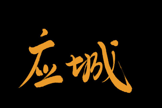 應(yīng)城