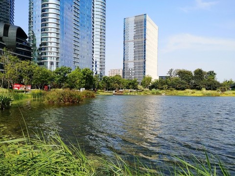 城市公園