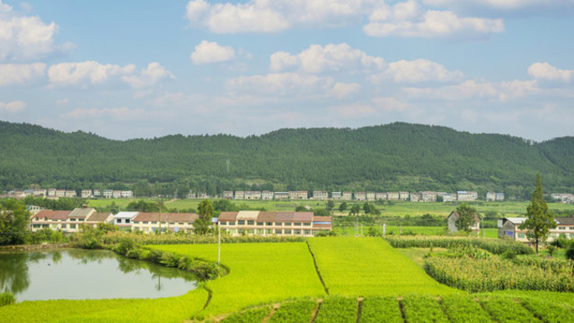 四川廣元農(nóng)村田園風(fēng)光