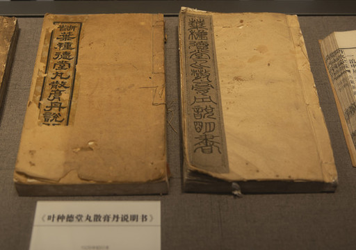 葉種德堂丸散膏說明書