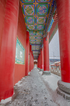 合肥開福寺雪景