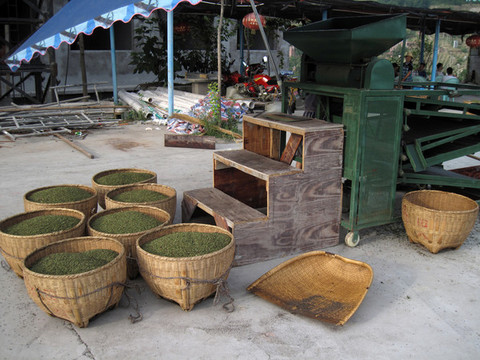 農(nóng)業(yè)專業(yè)合作社花椒脫殼場景