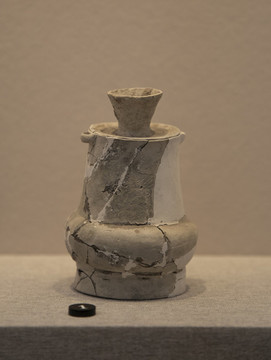 陶帶蓋雙鼻壺