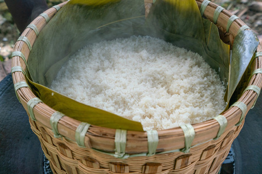 香蒸糯米飯