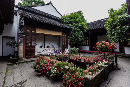 郭莊月季展
