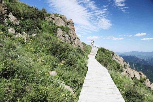 高山情侶