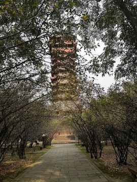 塔子山公園