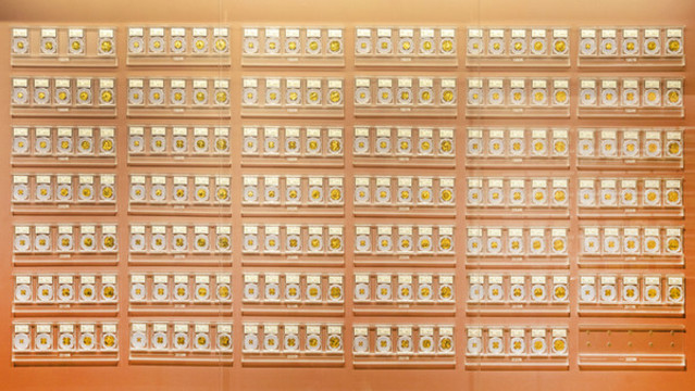 南京永銀錢幣博物館熊貓金幣