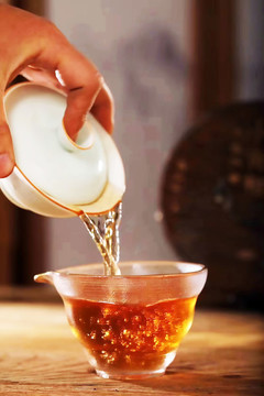 飲茶品茗泡茶
