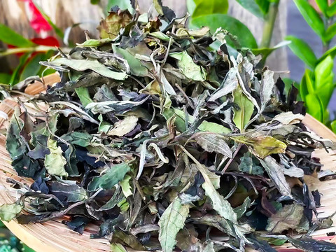 白茶茶葉