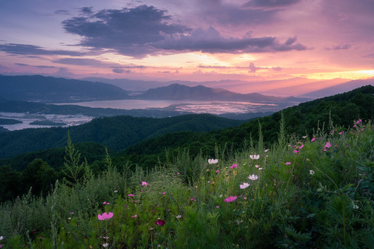 山坡