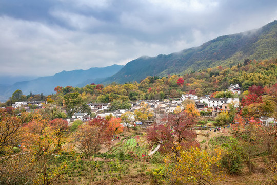 塔川秋色
