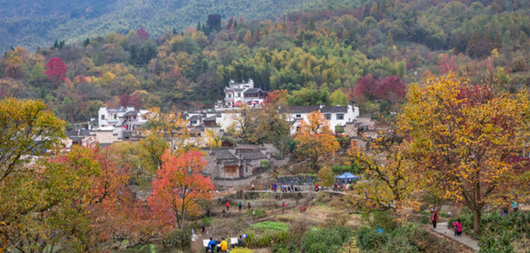 塔川秋色全景圖