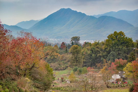 塔川秋色