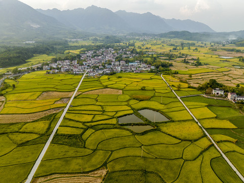 宣城市旌德縣興隆鎮(zhèn)三山村梯田