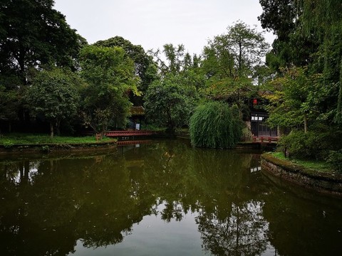 公園水景