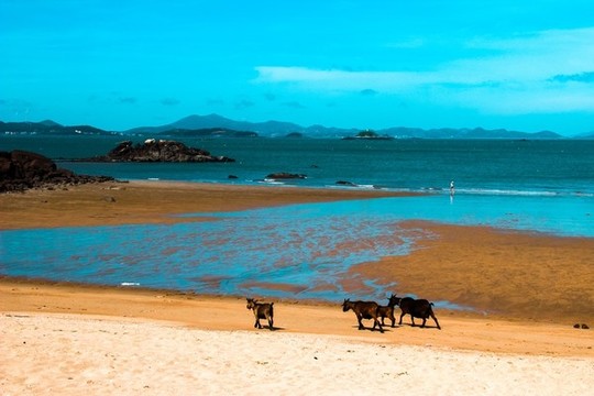 海灘漫步