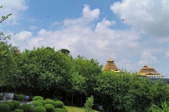 柳州鳳凰嶺大橋