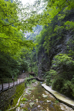 金絲峽
