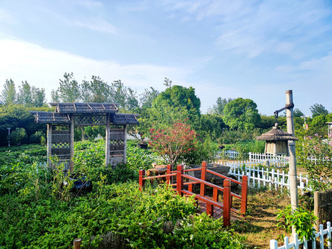 農(nóng)旅文化
