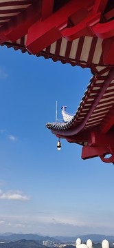 屋檐