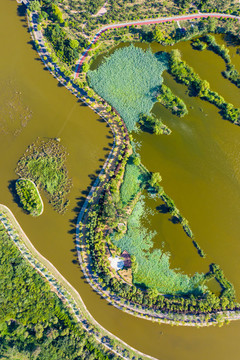 平頂山白鷺洲國(guó)家城市濕地公園