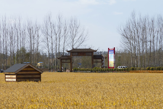 稻田公園