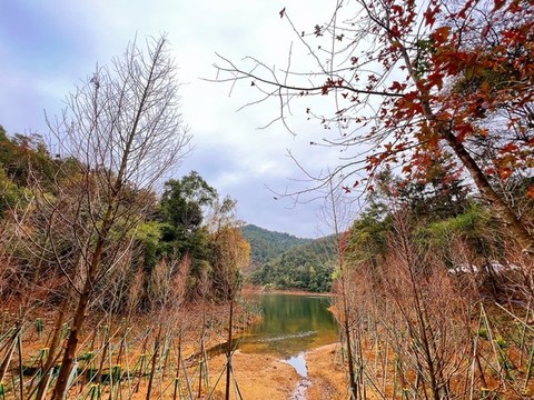 森林公園
