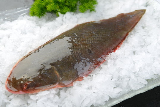 半邊魚