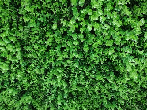 仿真綠植墻