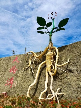 天橋溝人參雕塑