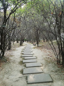 園林小路