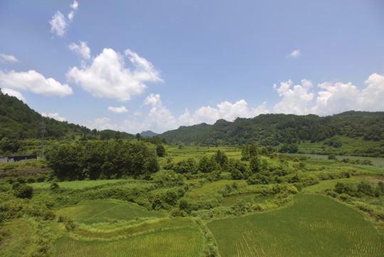 藍(lán)天下綠色的田野