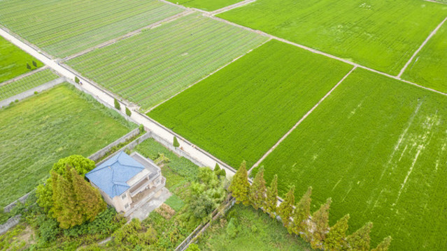 航拍農(nóng)村民房水稻田