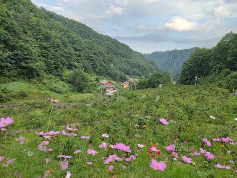 神農(nóng)架桃花谷