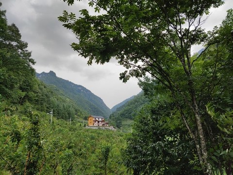 神農(nóng)架桃花谷深山人家