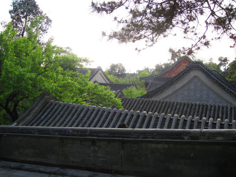 北京頤和園的古建筑群