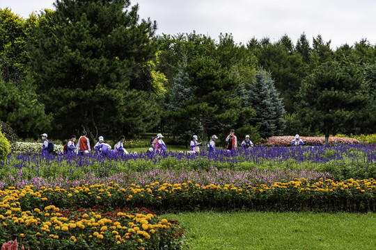 夏日里的長春百花園風景
