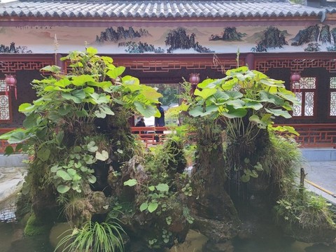 秘境神農(nóng)架桃花谷